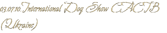 03.07.10.International Dog Show CACIB  (Ukraine)
