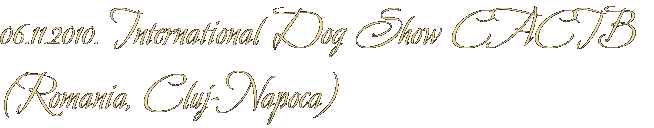 06.11.2010. International Dog Show CACIB (Romania, Cluj-Napoca)