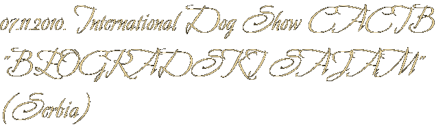 07.11.2010. International Dog Show CACIB  &amp;quot;BEOGRADSKI SAJAM&amp;quot; (Serbia)