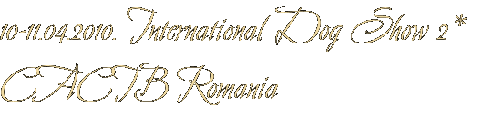 10-11.04.2010. International Dog Show 2* CACIB Romania