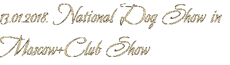 13.01.2018. National Dog Show in Moscow+Club Show
