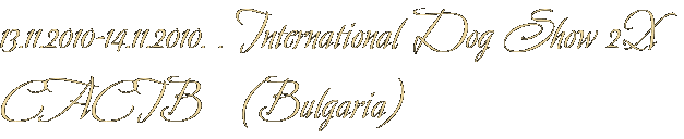 13.11.2010-14.11.2010. . International Dog Show 2Х CACIB   (Bulgaria)