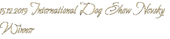 15.12.2019 International Dog Show Nevsky Winner