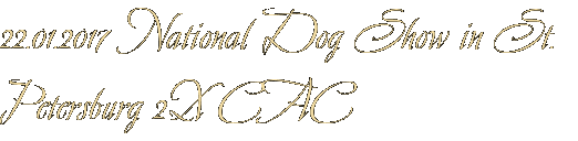 22.01.2017 National Dog Show in St. Petersburg 2X CAC