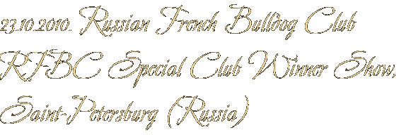 23.10.2010. Russian French Bulldog Club RFBC Special Club Winner Show, Saint-Petersburg (Russia)